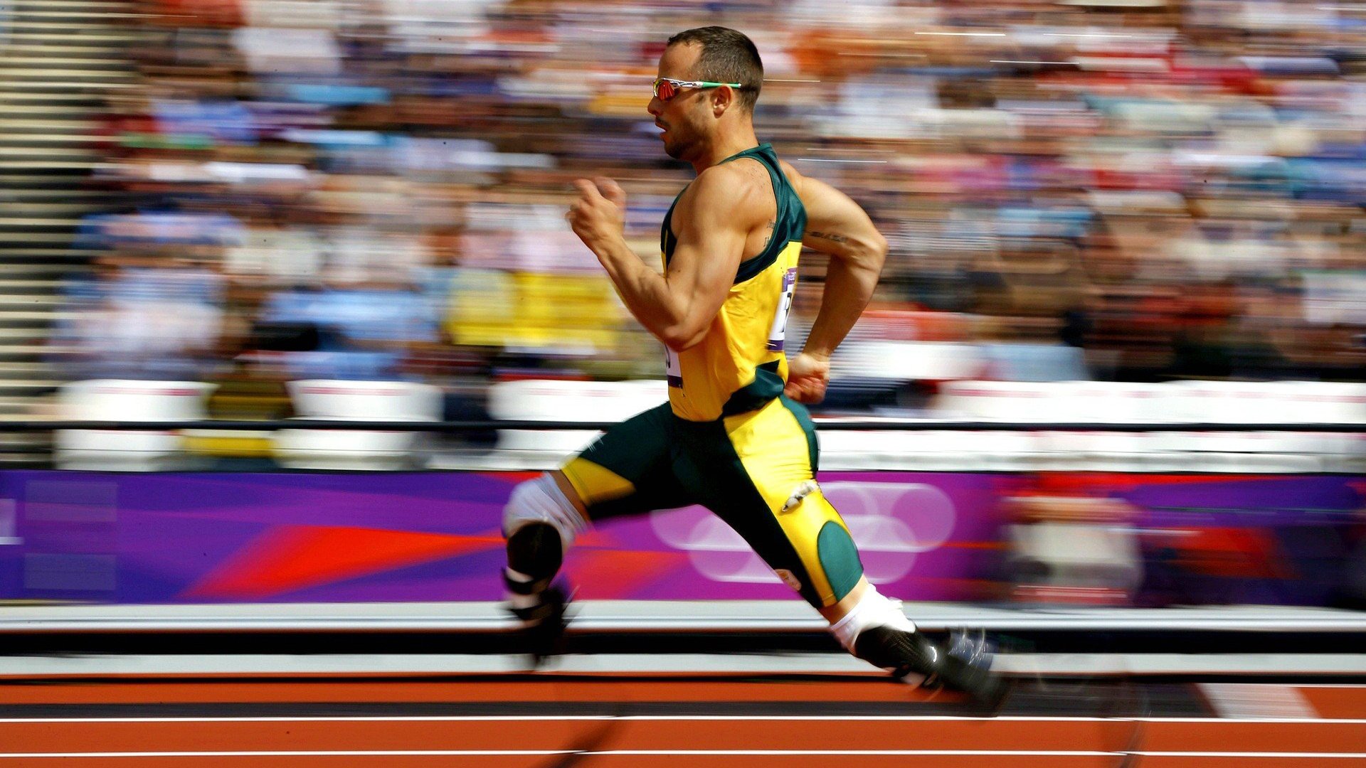 “龙泉驿区东安湖体育公园：水上赛事精彩纷呈，成观众新宠”